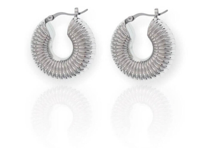 orecchino in acciaio bombato a righe argento orecchino in acciaio bombato a righe argento